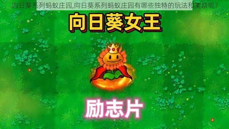 向日葵系列蚂蚁庄园,向日葵系列蚂蚁庄园有哪些独特的玩法和奖励呢?