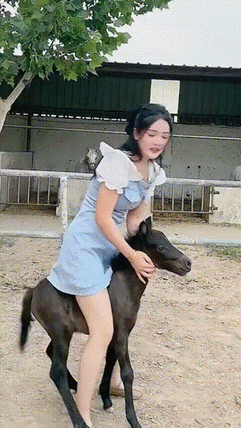 宝贝乖把腿张开让你爽动态图 None